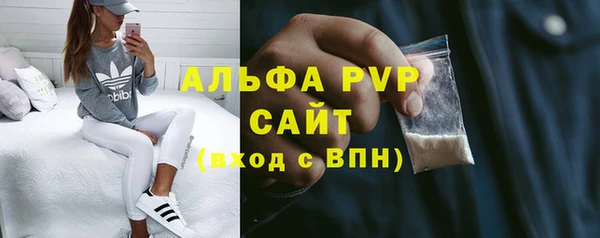 индика Приозерск