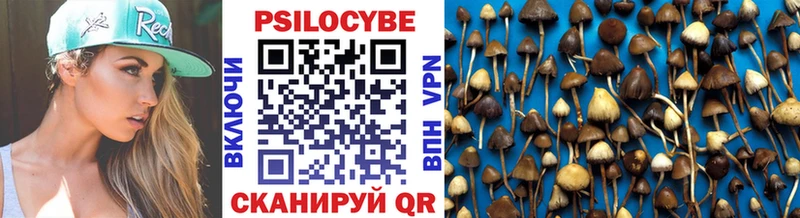 Псилоцибиновые грибы мицелий  Верхний Тагил 
